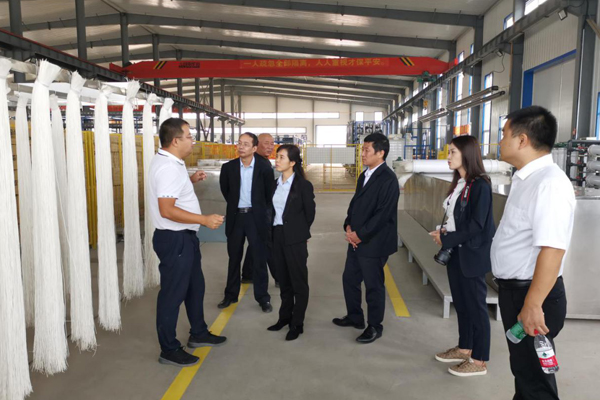 陜西航天建設(shè)集團(tuán)有限公司總經(jīng)理、黨委副書(shū)記謝明娟率隊(duì)赴遼寧一諾環(huán)保產(chǎn)業(yè)集團(tuán)開(kāi)展考察調(diào)研工作